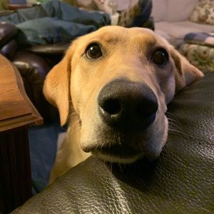 Meet your Posher, Tamara